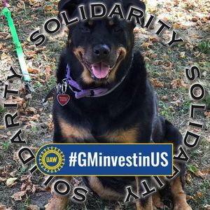 Meet your Posher, Donna